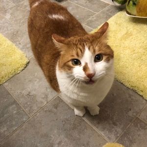 Meet your Posher, Meg